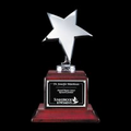 Densley Star Trophy Award